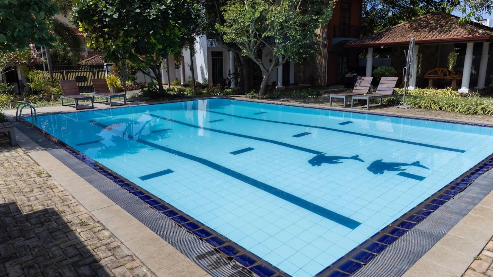 Seahorse Villas Negombo 0*,